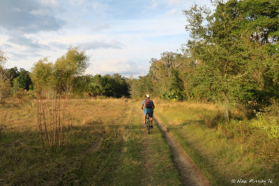Biking with Paul on one of the "wimpy" trails (for my sake)