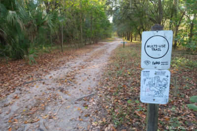 View of one of many of the hiking/biking/riding trails in the park