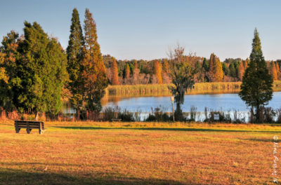 A lovely fall day at Alafia State Park