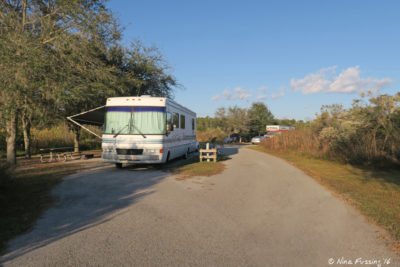 Northern Loop -> view further down loop. Pull-through site #24 on left, with back-in site #23 in back right.
