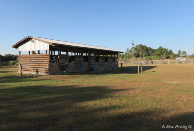 View of on-site horse stables and corrals. These are a short walk from the southern loop.