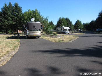 View towards more open sites in front of loop (site #12 on left with #11 behind it)