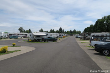 Another row view. RV on left in site #93.