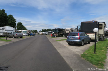 View down road from our site #106