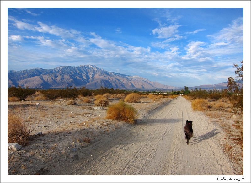 Lounging in Paradise Desert Hot Springs, CA Wheeling It
