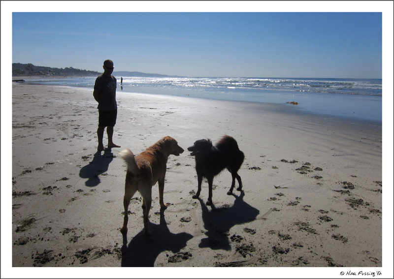 Paw Friendly & Off-Leash Beaches – San Diego, CA – Wheeling It