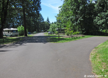 View down shaded back-end of loop. Empty site #28 on right. RV in site #27 on left.
