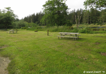 Primitive sites near the ranger entrance. These are the only sites I *don't* recommend for RVs. No separation or privacy here, plus sites are small. #198 on right.