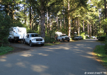 View of full hookup C-loop sites. RV in C22 on left with C20, C18 behind. These are best for smaller rigs.