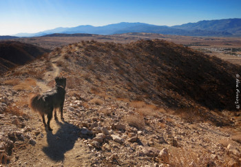 I just wanna hike!