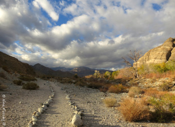 The gorgeous trail at Whitewater Preserve