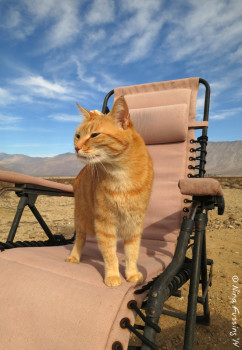 Taggart loves to be outside