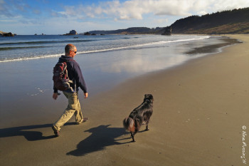 Morning walk on the northern beach