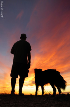 Doggie has a major impact on our camping choices