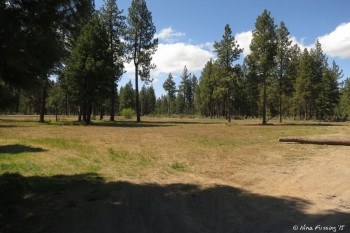 HUGE field for doggie. This was right next to our site