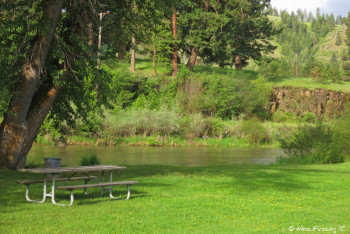 View of green day-use area by the river.
