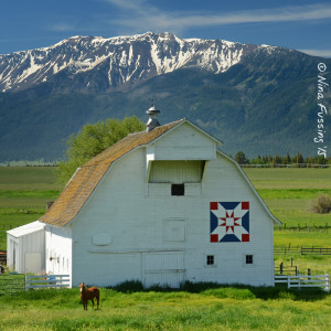 The barns are something else here