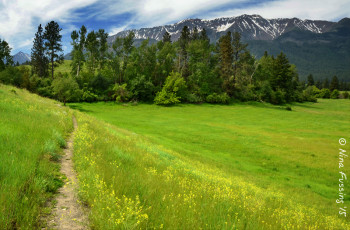 Gorgeous Iwetemlaykin trails