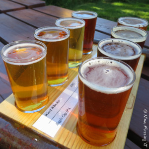 A tasting flight at Terminal Gravity