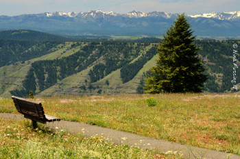 Granny View Lookout on the way up