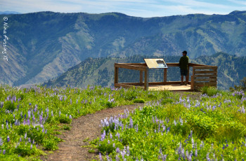 Paul at the viewpoint