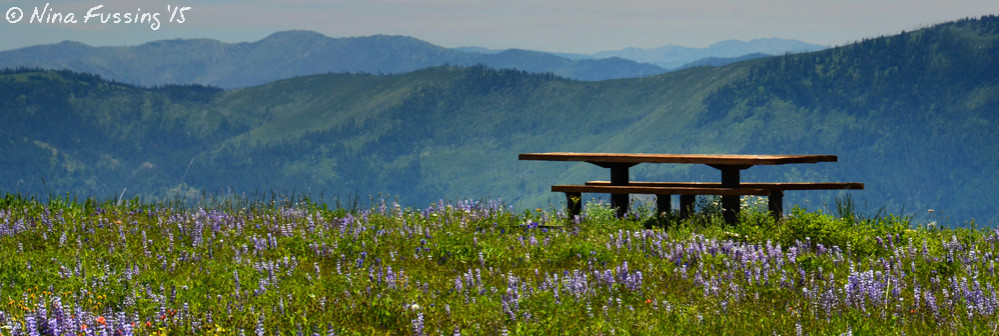 Have a seat
