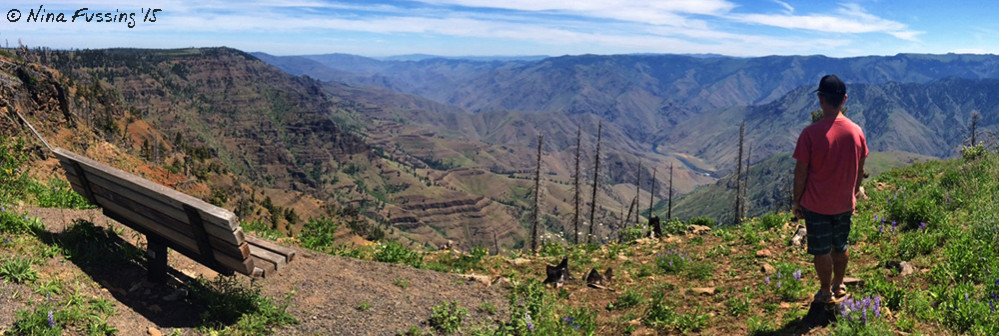iPhone Panorama from the overlook