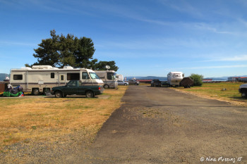 View from our RV down the main park "road". Just a few sites on the left and right here, most of which are taken by permanents.