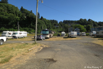 View down the park road towards our site.