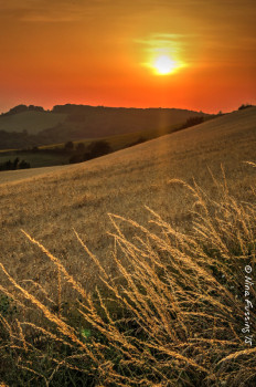 This was the sunset the day my mother was cremated