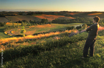 My brother with fields of wheat and sunflowers