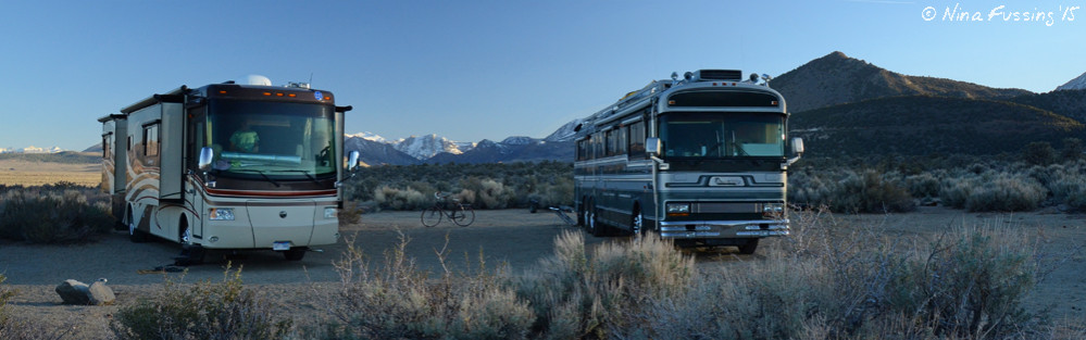How could we resist traveling with these guys?