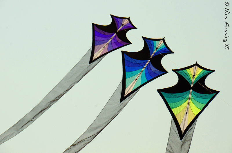 It's a ballet of colors
