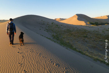 The amazing sand at Bruneau Dunes State Park