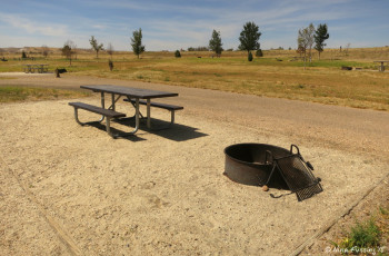 Typical "sitting area" with picnic table and fire pit