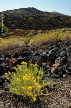 The stark landscape at Craters Of The Moon