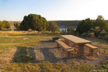 Picnic table and fire-pit in A14.