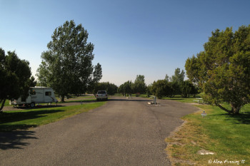 More A loop sites. This is site A23 on right.