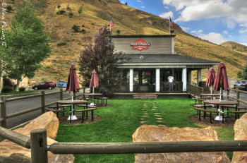This place does beer, burgers AND it's dog friendly!