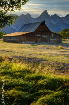 Mormon Row near sunset. The mountains are in shadow at this time.