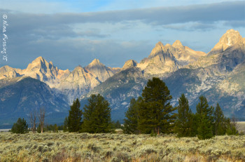 Pretty much every view of the Tetons is a good one