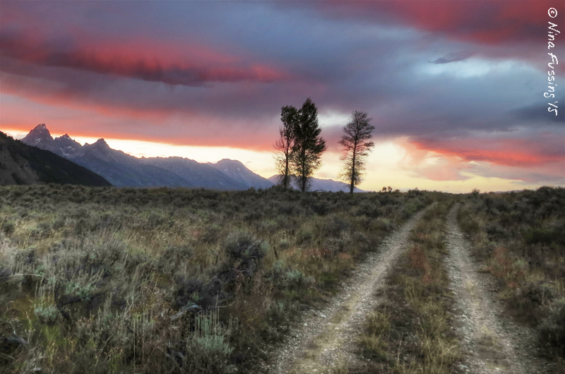 Dog-friendly hiking by Gros Ventre Campground
