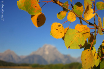 We're about 2 weeks early for full fall colors
