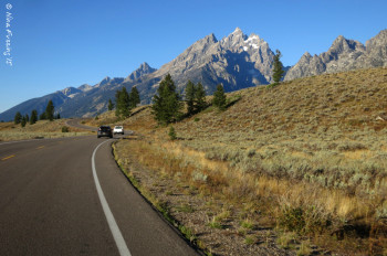 Early AM on the Teton Loop Drive