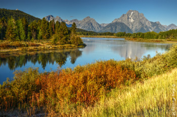 Oxbow Bend mid-morning