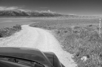 Another great drive with doggie from Curtis Canyon