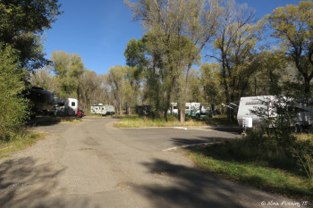 Loop D -> View towards very end of loop. More upgraded sites here with HUGE paved parking pads. This is #205 on right. All electric hookups.