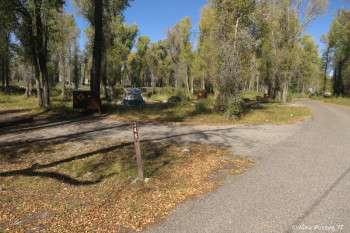 Loop G -> View of tent sites. This is #346 on left. All sites have bear-proof containers.
