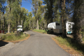 Loop F -> View towards end of loop. Sites #331 on right.