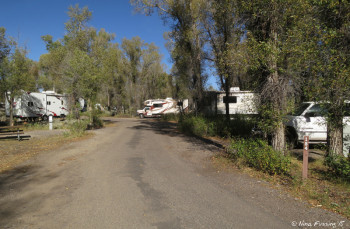 Loop D -> View towards middle of loop. These sites have electric, but the parking pads have not been upgraded. Site #184 on right.